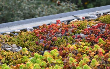 the cost of Oldfallow green roof installation