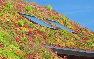 Oldfallow living roof systems